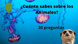 Test/Quiz/Trivia/Juego ¿Cuánta sabes sobre animales🐘🐻? 30 preguntas con respuesta🤔🐘