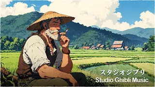 [2 HOUR] [Relaxing Music] 🌳Ghibli OST (My Neighbor Totoro) / Ghibli Piano Collection / Relax / Sleep