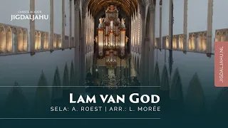 Lam van God | Chr. Koor Jigdaljahu