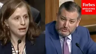 "I Don't Find That Answer Remotely Credible": Ted Cruz Grills Biden Nominee On Birth Tourism