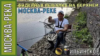 РЫБАЛКА на верхней МОСКВА-РЕКЕ, Ильинское, ФИДЕР - РЫБА ТАМ ВОДИТСЯ!