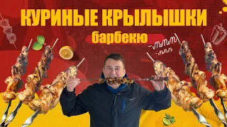 ШАШЛЫК ИЗ КУРИНЫХ КРЫЛЫШЕК И ЛЕТНИЙ ТЕПЛЫЙ САЛАТ. РЕЦЕПТ МАРИНАДА ДЛЯ КУРИНЫХ КРЫЛЬЕВ (16+)