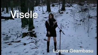 Lorena Geambasu - Visele (cover Irina Rimes)