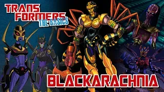 TRANSFORMERS: THE BASICS on BLACKARACHNIA