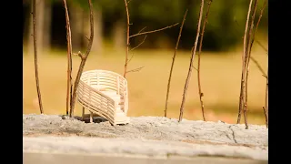 The Nest - Głuszyna/ Mood for wood Poznań 2022