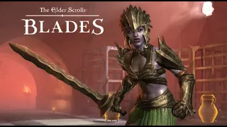 The Elder Scrolls: Blades - Town Hall Update 1.9