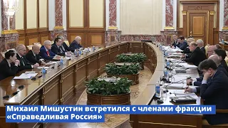 Михаил Мишустин встретился с представителями фракции «Справедливая Россия»