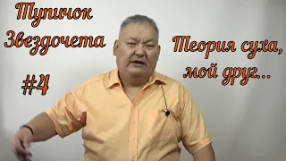 Тупичок Звездочета #4 Теория суха мой друг