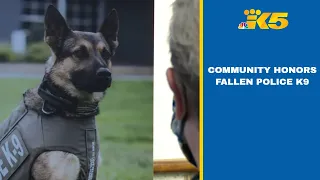 Death of Seattle police K9 'just a huge loss'