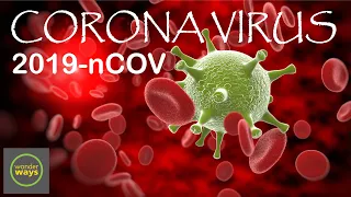 Coronavirus Updated | Know more about COVID-2019 | 2019-nCOV | wonderways