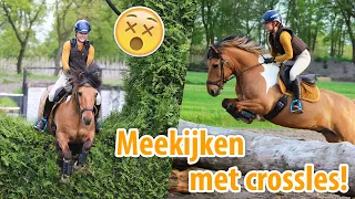 MEGA heg met crossles springen & giftige planten weghalen! | felinehoi VLOG #345