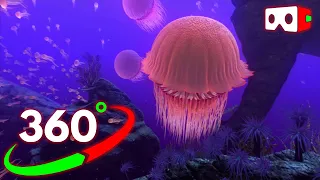 🔴VR 360° Video The Blu  Virtual Reality Underwater Experience