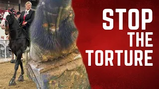 Stop the Torture - Horse Shelter Heroes S3E37