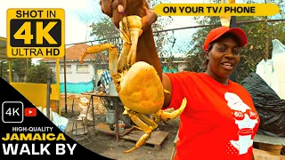 ✔️Heroes Circle Spicy Crabs ( SHOCKING RAW FOOTAGE ) Jamaican Outdoor Cooking In Kingston 4K