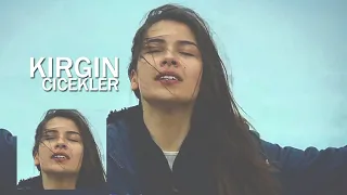 Kirgin Cicekler / Обиженные цветы