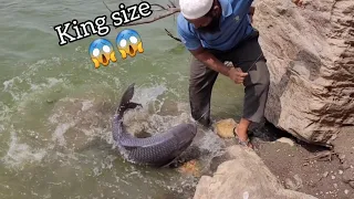 King size Rohufishes 😱😱|10.470kg and 8.800kg fishes|100%Successful Bite in SINGLE hook fishing|