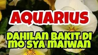 Pagharap sa problem ang tagumpay. #aquarius #tagalogtarotreading #lykatarot