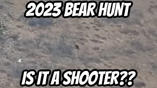 Idaho Bear Hunt 2023