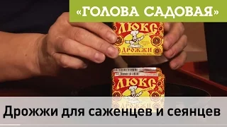 Голова садовая - ПОЛЕЗНО! Дрожжи для саженцев и сеянцев