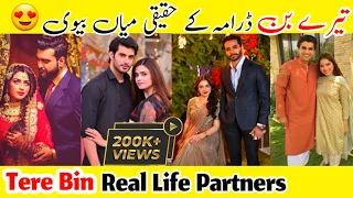 Tere Bin last Episode ! Drama Cast Real Life Partners ! Har Pal Geo ! New Pakistani Drama !
