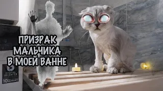 КОТ КЕВИН И ПРИЗРАК МАЛЬЧИКА В ВАННОЙ / НЕ СМОТРИ НА НОЧЬ!