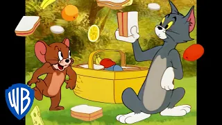 Tom & Jerry in italiano 🇮🇹 | Andiamo a fare un picnic! | WB Kids