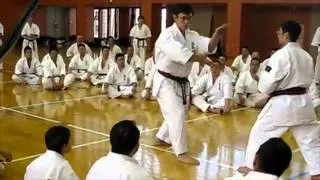 Kyokushinkan Bunkai Kumite Gekisai Sho and others