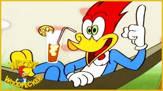 Woody Woodpecker Full Episodes | Fake Vacation | Woody Woodpecker | Kids Movies