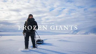 In Search of Frozen Giants | Musk Oxen in Norway