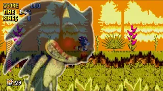 Sonic.Exe The Spirits Of Hell (Hide and Seek Act 1) Shadow Glitch