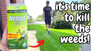 How to KILL WEEDS using WEEDOL - It's Time to Kill Lawn Weeds!