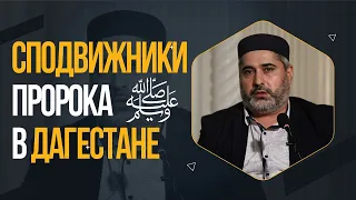 Сподвижники Пророка ﷺ в Дагестане / Мурадулла Дадаев