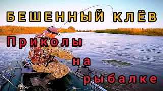 Приколы на рыбалке 2021. Бешенный клёв! Смотреть приколы на рыбалке!