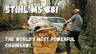STIHL MS 881 vs MS 880 | The Worlds Most Powerful Chainsaws!