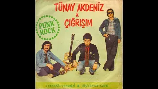 Tünay Akdeniz & Çıgrışım - Meselâ, Mesele! / Dişi Denen Canlı (Full 7" Single 1978)