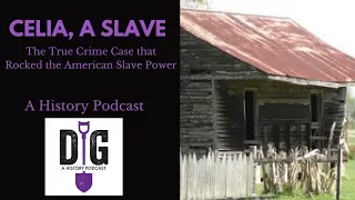 Celia, A Slave: The True Crime Case that Rocked the American Slave Power