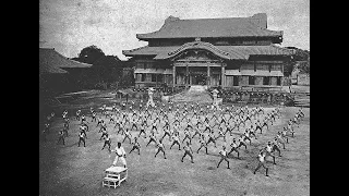 History of karate #japanesemartialarts  #kobujutsu  #karate