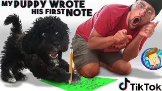 Our Puppy Wrote his First NOTE & our TIK TOK  had a BIG FAIL (FV Family Vlog)