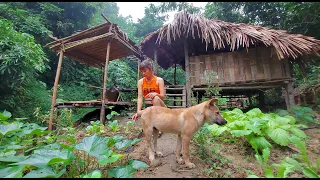 Full Episode : 100 DAYS LIVING OFF GRID - Log Cabin Build in the Wilderness, Off Grid Log Cabin