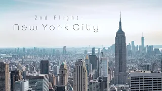 A bird's day in New York City | 4K 60P | Google Earth Studio