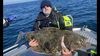 Lofoten Fishing for Halibut, Haddock, Torsk & Coalfish on surface lures!