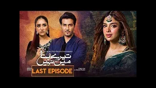 Tere Bina Mein Nahi Last Episode - 22 Aug 2023 #terebinameinnahi  #arydigital #dramas #shehzadsheikh