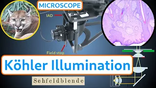 Köhler Illumination - How to build, collimate and use the Köhler Illuminator for the PUMA microscope