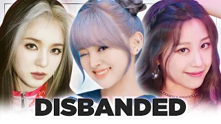 HOT ISSUE, LUNARSOLAR, BLING BLING: Why did they disband? (debut, comebacks, history, companies)