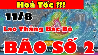 Dự báo thời tiết hôm nay ngày mai 10 tháng 8 năm 2022 / Thời tiết 3 ngày tới / Thời tiết mới nhất