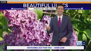 Weather forecast: A lot of dry time to get out and check out the spring flowers in Portland