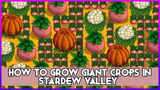 How To Grow Giant Crops in Stardew Valley !