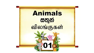 Animals name in English, Sinhala and Tamil