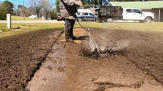 I FOUND this Hidden OVERGROWN sidewalk! Working on a DIRTY to CLEAN sidewalk