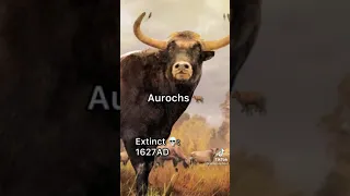 What extinct animals sounded like pt 3